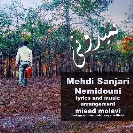 دانلود اهنگ مهدی سنجری نمیدونی