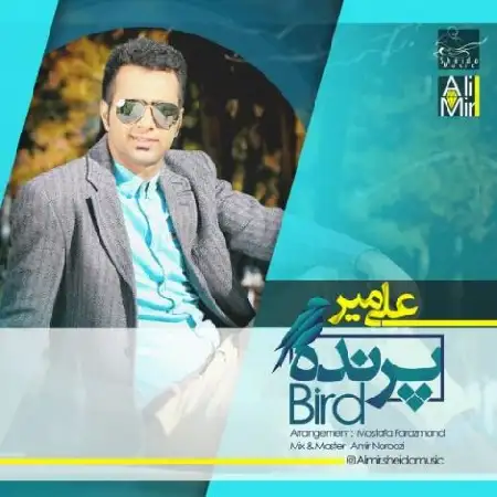 دانلود اهنگ علی میر پرنده