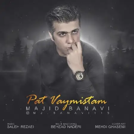 دانلود اهنگ مجید بانوی پات وایمیستم