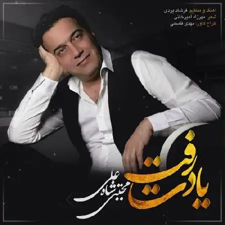 دانلود اهنگ مجتبی شاه علی یادت رفت