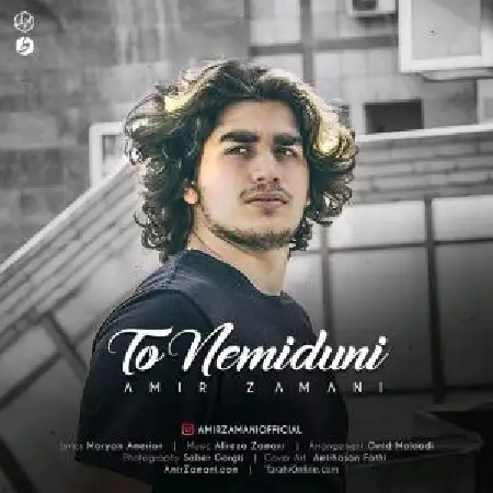 دانلود اهنگ امیر زمانی تو نمیدونی