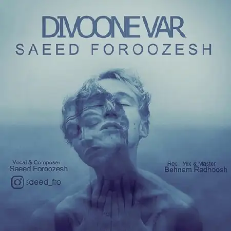 دانلود اهنگ سعید فروزش دیوونه وار