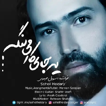 دانلود آلبوم تک اهنگ ها از سهیل حیدری