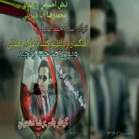 دانلود اهنگ محمدرضا آب شیرینی نبض احساس