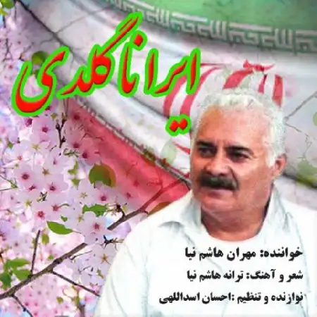 دانلود اهنگ مهرام هاشم نیا ایرانا گلدی