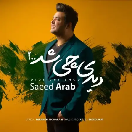 دانلود اهنگ سعید عرب دیدی چی شد