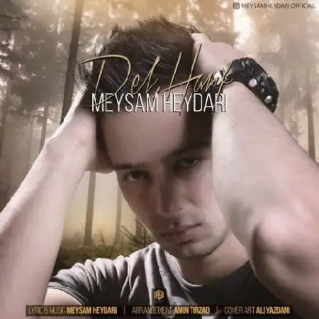 دانلود آلبوم تک اهنگ ها از میثم حیدری