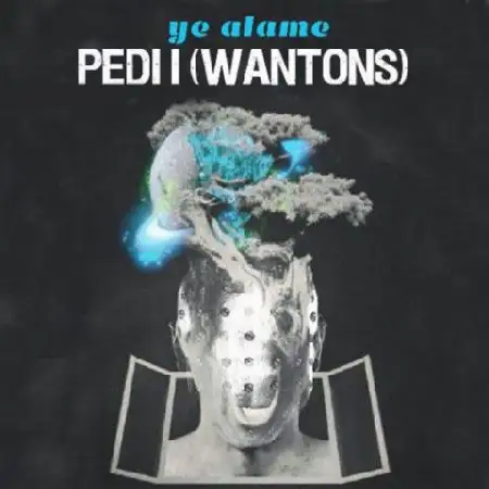 دانلود اهنگ پدی آی یه عالمه