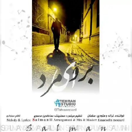 دانلود اهنگ سلمان برو ای مرد