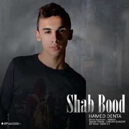 دانلود اهنگ حامد دنتا شب بود