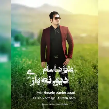 دانلود اهنگ علیرضا سام دیوونه بازی