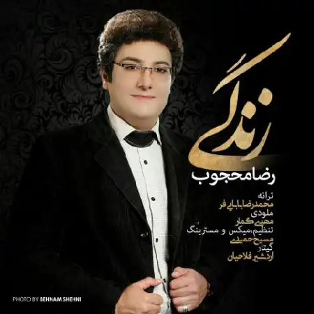 دانلود اهنگ رضا محجوب زندگی