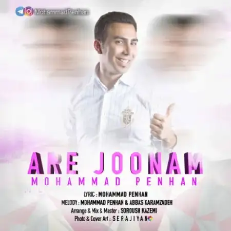 دانلود اهنگ محمد پنهان آره جونم