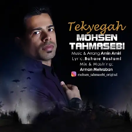 دانلود اهنگ محسن طهماسبی تکیه گاه