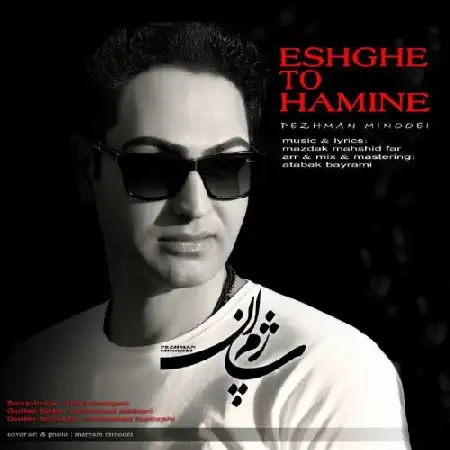 دانلود آلبوم تک اهنگ ها از پژمان مینویی