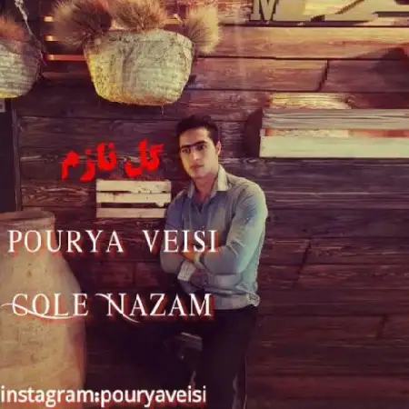 دانلود اهنگ پوریا ویسی گل نازم