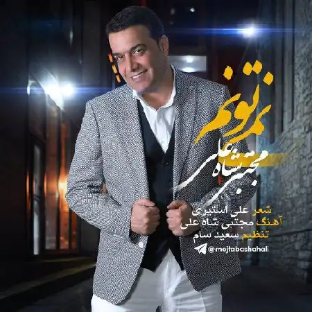 دانلود اهنگ مجتبی شاه علی نمی تونم