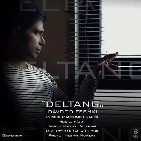 دانلود اهنگ داوود فشکی دلتنگ