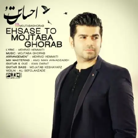 دانلود اهنگ مجتبی قراب احساس تو