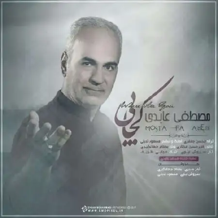 دانلود آلبوم تک اهنگ ها از مصطفی عابدی