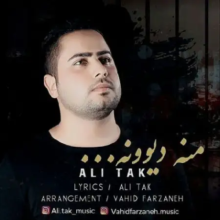 دانلود اهنگ علی تک من دیوونه