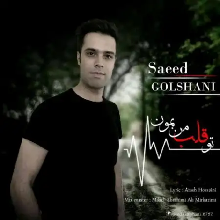 دانلود اهنگ سعید گلشنی تو قلب من بمون