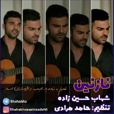 دانلود آلبوم آهنگ تکی از شهاب حسین زاده