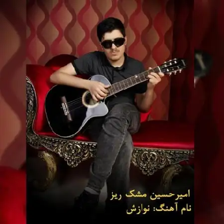 دانلود اهنگ امیر حسین مشکریز نوازش