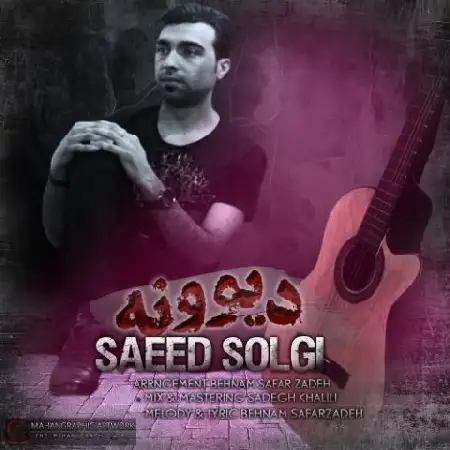 دانلود اهنگ سعید سلگی دیوونه