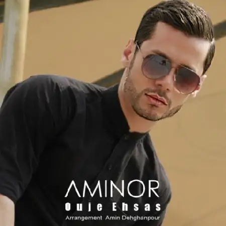 دانلود اهنگ امینور اوج احساس
