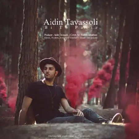 دانلود اهنگ آیدین توسلی بی تو پائیز
