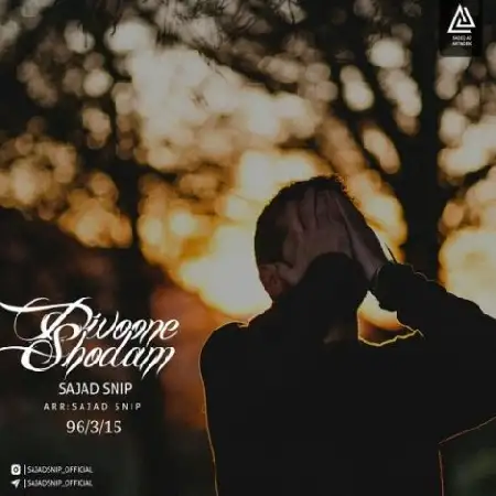 دانلود اهنگ سجاد اسنیپ دیوونه شدم
