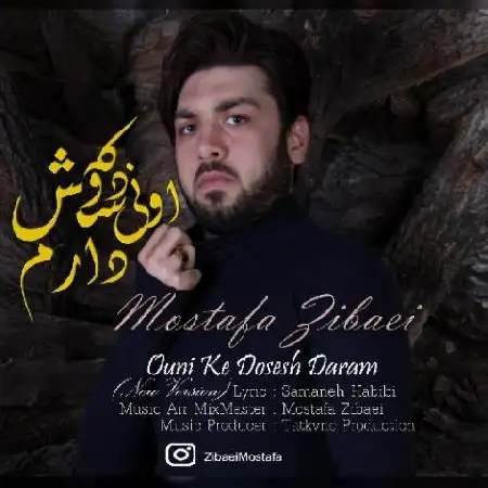 دانلود آلبوم تک اهنگ ها از مصطفی زیبایی