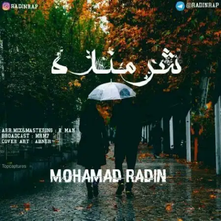 دانلود اهنگ محمد رادین شرمنده