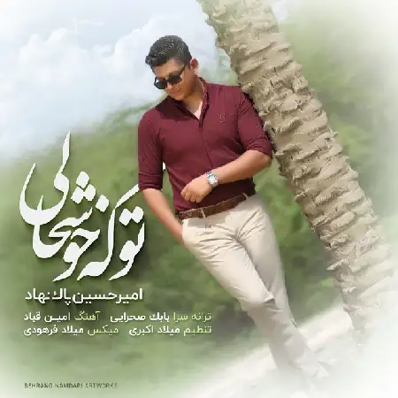 دانلود آلبوم تک اهنگ ها از امیرحسین پاک نهاد