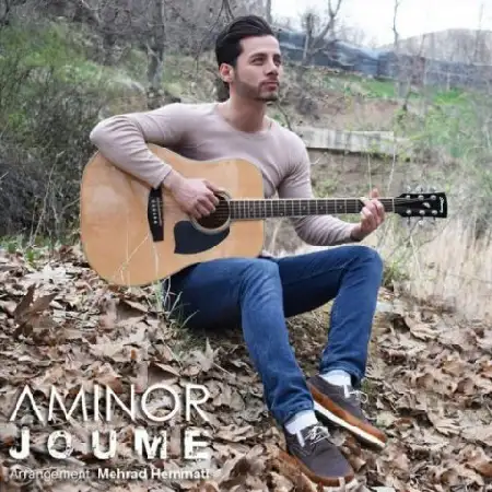 دانلود آلبوم تک اهنگ ها از امینور