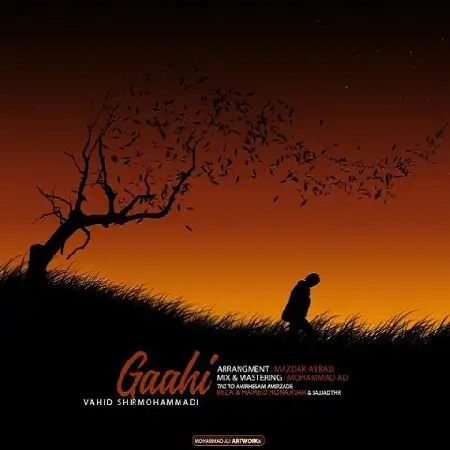 دانلود اهنگ وحید شیر محمدی گاهی