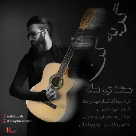 دانلود آلبوم تک اهنگ ها از مهدی سلا