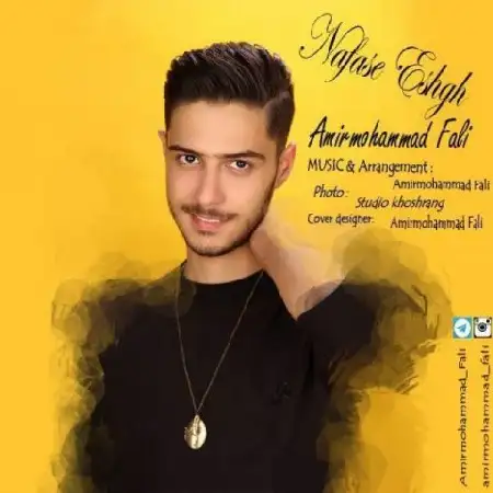 دانلود آلبوم تک اهنگ ها از امیر محمد فالى