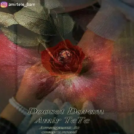 دانلود آلبوم تک اهنگ ها از امیر ته ته