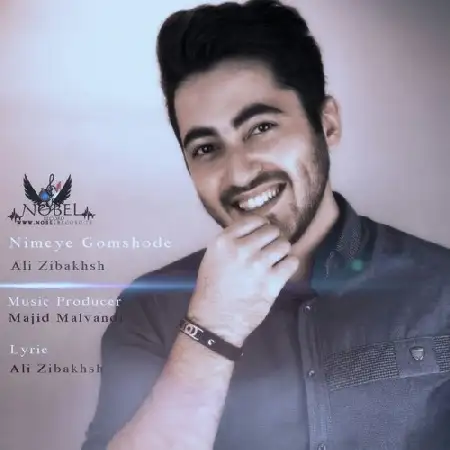 دانلود اهنگ علی زیبخش نیمه ی گمشده