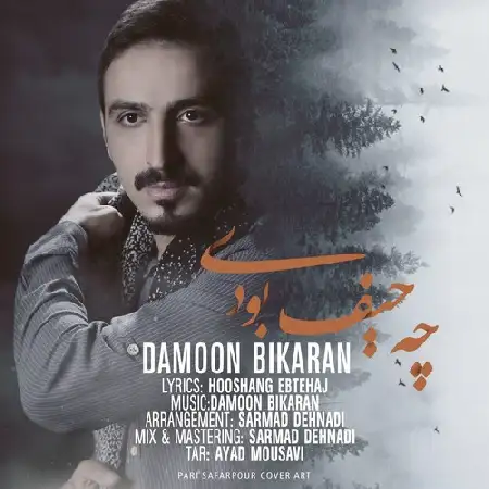 دانلود اهنگ دامون بیکران چه حیف بودی
