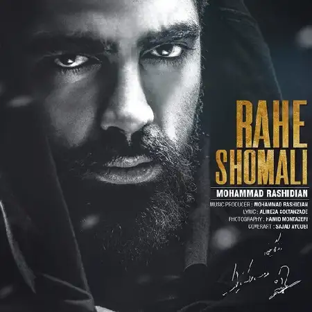 دانلود آلبوم تک اهنگ ها از محمد رشیدیان