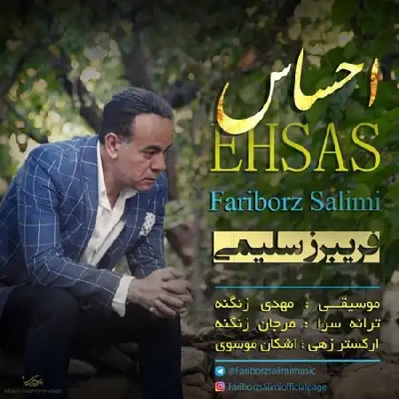 دانلود اهنگ فریبرز سلیمی احساس