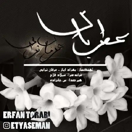 دانلود اهنگ عرفان ترابی عطر یاس