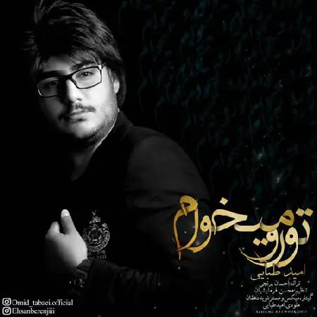 دانلود اهنگ امید طبایی تورو میخوام