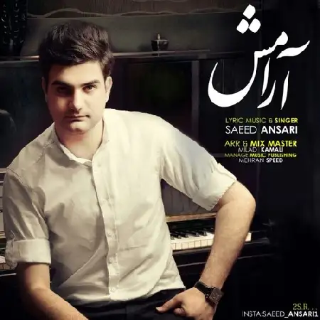 دانلود آلبوم تک اهنگ ها از سعید انصاری