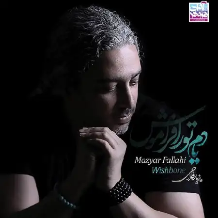 دانلود اهنگ مازیار فلاحی ممنونم