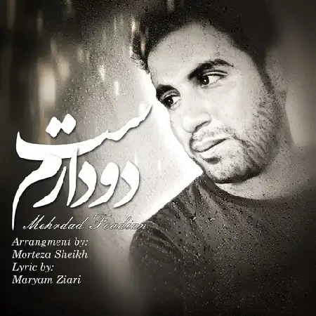 دانلود اهنگ مهرداد فوادیان دوسِت دارم