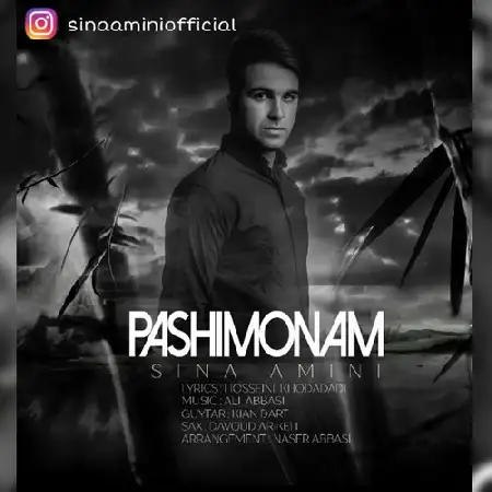 دانلود اهنگ سینا امینی پشیمونم